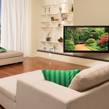 SANUS Lifestyle: Premium TV Mount Series