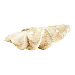 Giant Clam Bowl - Decorative Bowls
