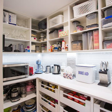 Entertainer's Dream Kitchen