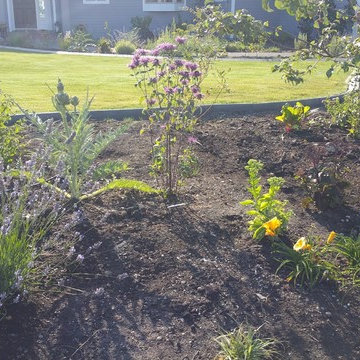 Edible Front Yard