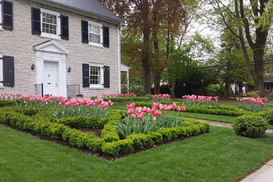Seasonal Flowers