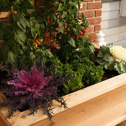 32&Prime;x 48&Prime; Elevated Garden Planter - Products