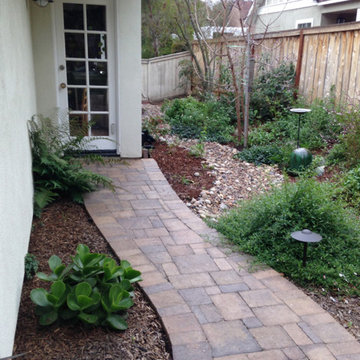 Olander Full Backyard Makeover