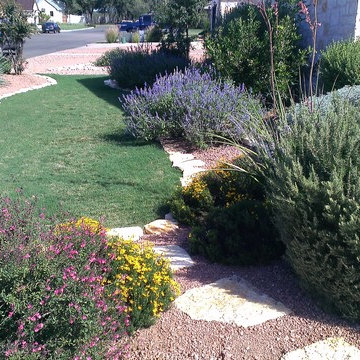 Limestone edging, low water use plants