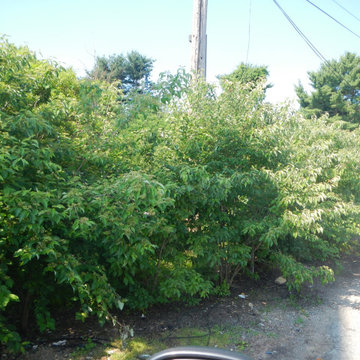 Layaou Landscaping, Inc.