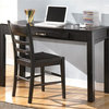 Modern Writing Desk and Chair Set