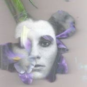 Kate Schuyler's photo