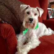 Connie Vinasco's photo