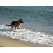 Jan Dausman's photo