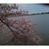 Junghye Kangさんの写真