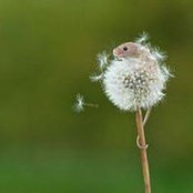 Heather Turnbow's photo