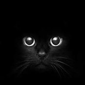 Nadia Brugh's photo