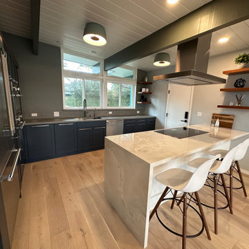 Eichler Kitchen Remodel