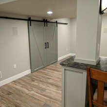 Lower Level Family Room Remodel