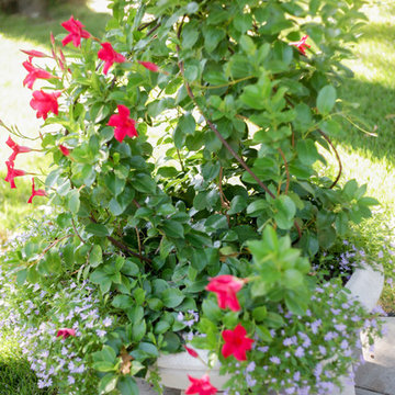 Container Ideas