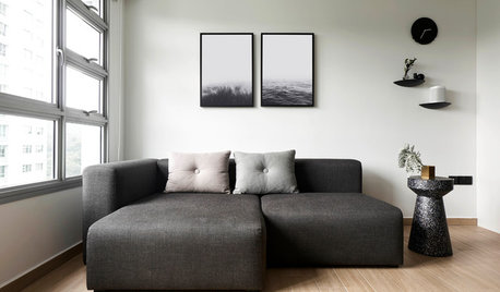 Houzz Tour: Black & White Defines This 990-Sq-Ft Flat