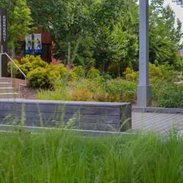 Georgia Tech Kebony Deck and Bridge