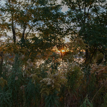 Bring Nature Near: National Park Service