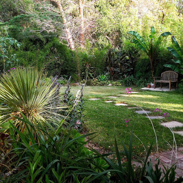 Lush in the Shade