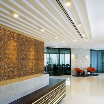 Wall Coverings and Decorative Wall Panels