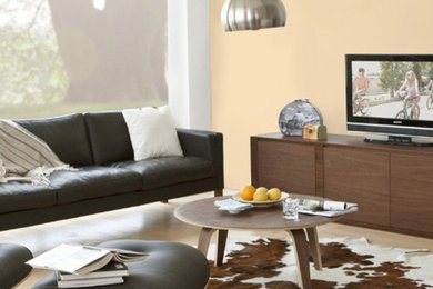 Home design - modern home design idea in San Francisco