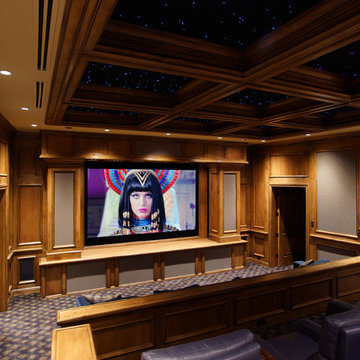 Parker, CO Home Theater