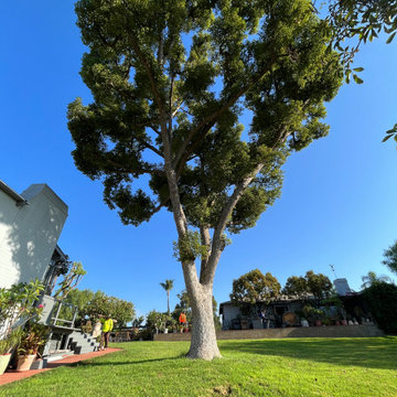 La Habra Heights
