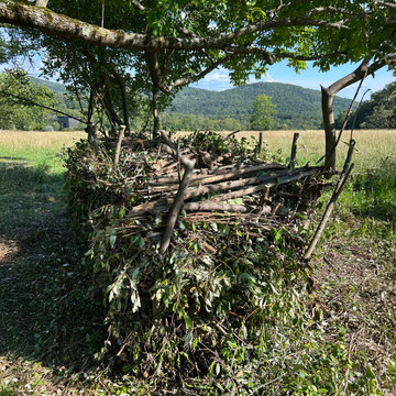 Ecotone Land