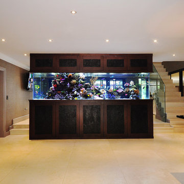 Aquarium Architecture