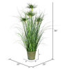 36" Green Cyperus Grass In Iron Pot