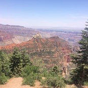 Kim Ludwig's photo