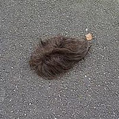 Chris Millington's photo