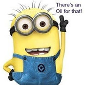Darlene Saucier's photo