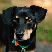 Kristina Neely's photo