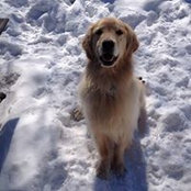Tammy Dionne's photo