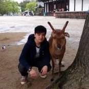 Kai Chun Kwokさんの写真