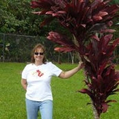 Deborah Hoffman-Clark's photo