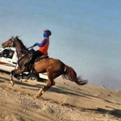 Jamila Alshamsi's photo