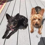 Nikki Pope's photo