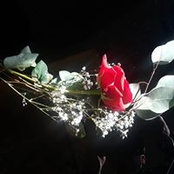 Alexander Okieff's photo