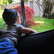 Stephanie Tradd's photo