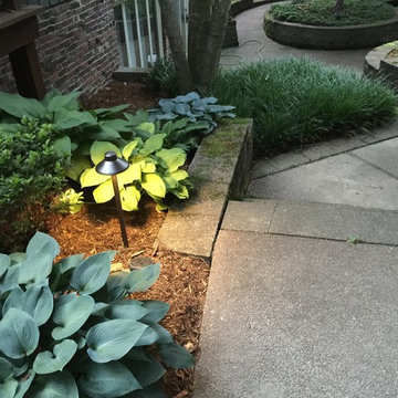 Colored LED lighting