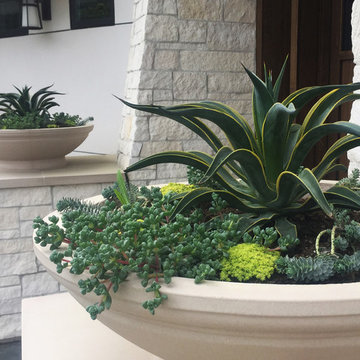 Del Mar Natural Modern Landscape