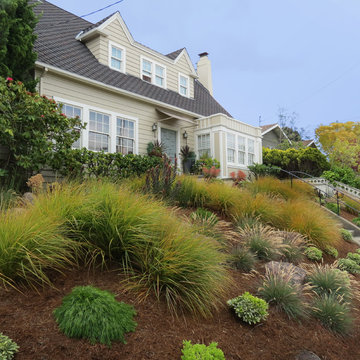 Our Gardens