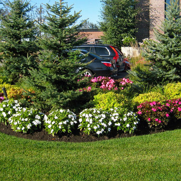 Planting and Maintenance