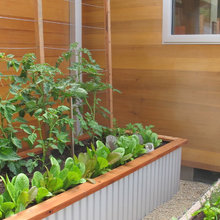 Rear House