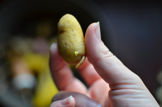 Классический  by Amy Renea