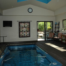 Swim spa indoor
