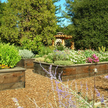 Garden ideas