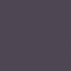 Dulux Wild Blackberry - Paint